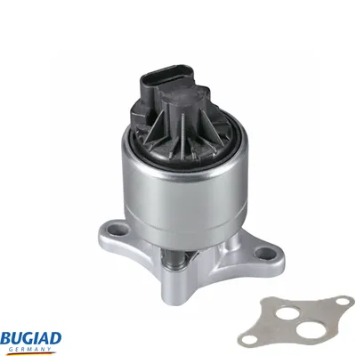 Válvula EGR BUGIAD BGR13029