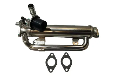 Elemento enfriador, reciclaje gases escape Audi A3 · Audi A3 Sportback · Seat ALTEA
