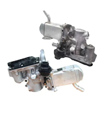 Válvula EGR Renault MEGANE III Hatchback · Renault MEGANE III Coupe · Renault MEGANE III Grandtour
