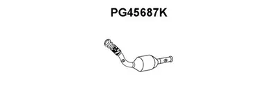 Catalizador VENEPORTE PG45687K