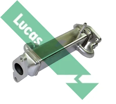 Elemento enfriador, reciclaje gases escape Fiat DUCATO Bus · Fiat DUCATO Van · Fiat DUCATO Platform/Chassis