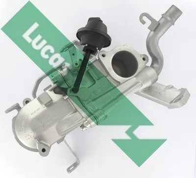 Elemento enfriador, reciclaje gases escape Citroën C4 PICASSO I MPV · Citroën JUMPY II · Citroën JUMPY II Van
