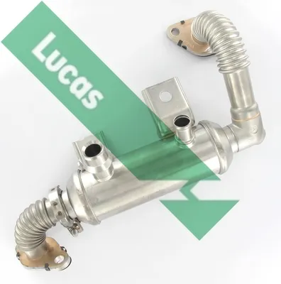 Elemento enfriador, reciclaje gases escape Ford TOURNEO CONNECT · Ford TRANSIT CONNECT · Ford FOCUS C-MAX