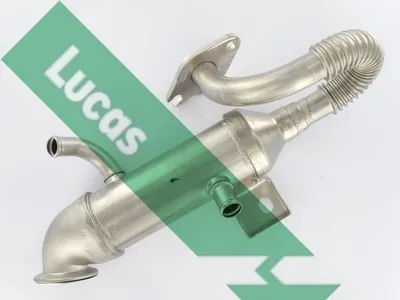 Elemento enfriador, reciclaje gases escape Ford FOCUS I · Ford FOCUS I Turnier · Ford FOCUS I Saloon