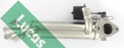 Elemento enfriador, reciclaje gases escape Vw TOUAREG · Vw TRANSPORTER T5 Van · Vw TRANSPORTER T5 Bus