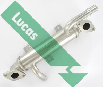 Elemento enfriador, reciclaje gases escape Ford GALAXY I · Seat ALHAMBRA · Vw SHARAN