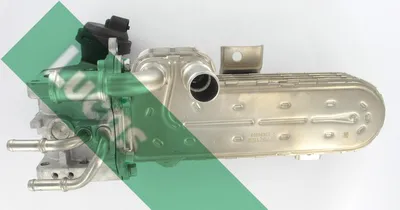 Elemento enfriador, reciclaje gases escape Audi A3 · Audi A4 B6 · Audi A4 B6 Avant