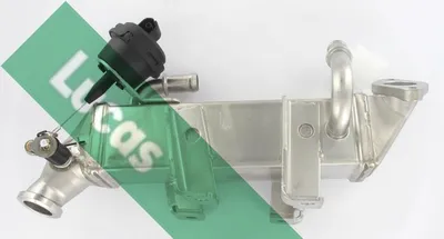 Elemento enfriador, reciclaje gases escape Nissan PRIMASTAR Bus · Nissan PRIMASTAR Van · Nissan NV400 Van