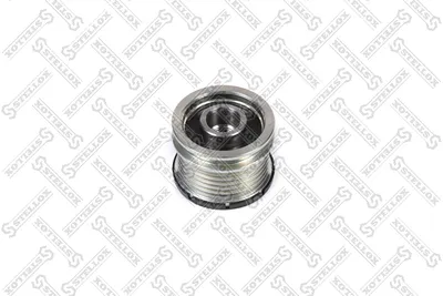 Polea, alternador Audi A4 B6 Avant · Audi A3 · Audi A6 C6