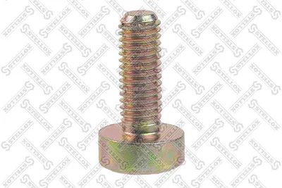 Tornillo, colector admisión Vw TOUAREG