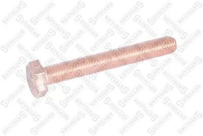 Tornillo, colector admisión STELLOX 81-08502-SX