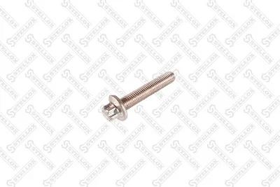 Tornillo, colector admisión STELLOX 81-08504-SX