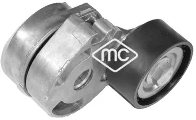 Polea tensora, correa poli V Citroën BERLINGO / BERLINGO FIRST Box Body/MPV · Citroën BERLINGO / BERLINGO FIRST MPV · Citroën XSARA