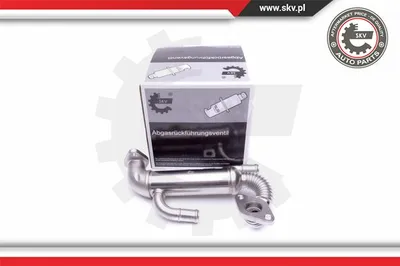 Elemento enfriador, reciclaje gases escape Seat IBIZA III · Seat CORDOBA · Skoda FABIA I