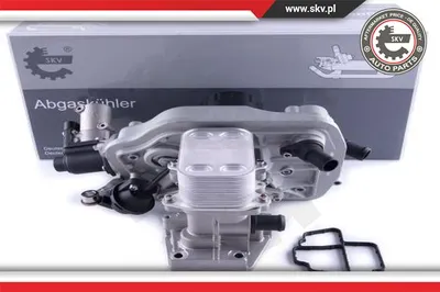 Válvula EGR Vw MULTIVAN T5 · Vw TRANSPORTER T5 Platform/Chassis (7JD, 7JE, 7JL, 7JY, 7JZ, 7F · Vw TRANSPORTER T5 Van