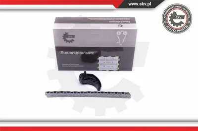 Kit cadenas, accionamiento bomba aceite Audi A4 B5 · Audi A3 · Audi A6 C5