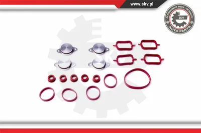 Juego de juntas, colector de admisión ESEN SKV 96SKV053