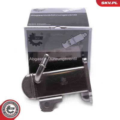 Elemento enfriador, reciclaje gases escape Citroën C8 · Citroën C4 PICASSO I MPV · Citroën JUMPY II