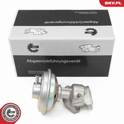 Válvula EGR Audi A8 D3 · Audi A6 C6 · Audi A4 B7