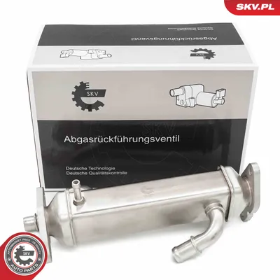 Elemento enfriador, reciclaje gases escape Fiat DUCATO Bus · Fiat DUCATO Van · Fiat DUCATO Platform/Chassis
