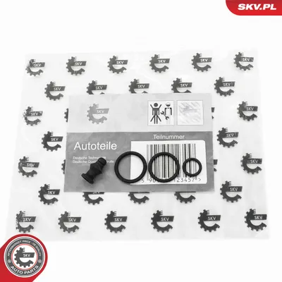 Kit de reparación, unidad bomba-inyector Audi A3 · Audi A6 C6 · Audi A3 Sportback