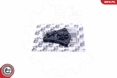 Tapa. árbol de levas Bmw 3 · Bmw 3 Coupe · Bmw 3 Touring