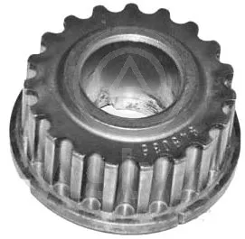 Rueda dentada, cigüeñal Renault KANGOO / GRAND KANGOO II · Renault KANGOO Express · Renault LOGAN I