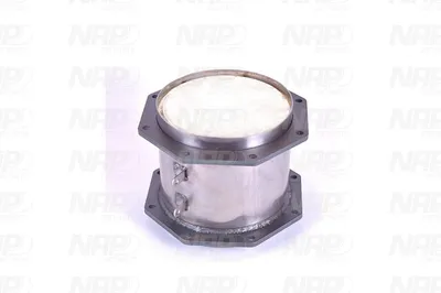 Filtro de partículas NAP carPARTS CAD10125