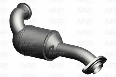 Catalizador NAP carPARTS CAK10172