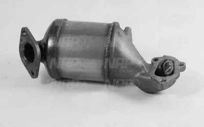 Catalizador NAP carPARTS CAK10219
