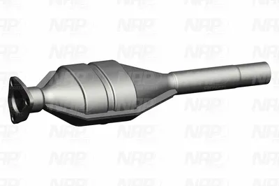 Catalizador NAP carPARTS CAK10238