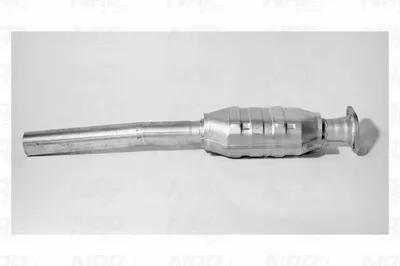 Catalizador NAP carPARTS CAK10559