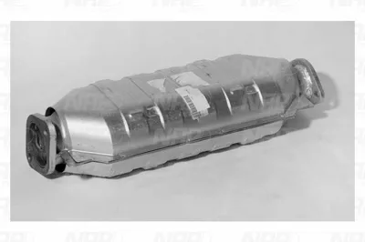 Catalizador NAP carPARTS CAK10585