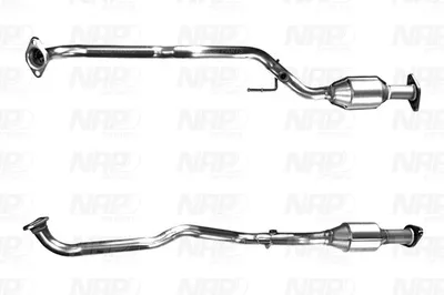 Catalizador NAP carPARTS CAK11266