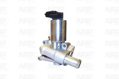 Válvula EGR NAP carPARTS CAV10003