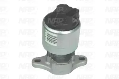 Válvula EGR NAP carPARTS CAV10004