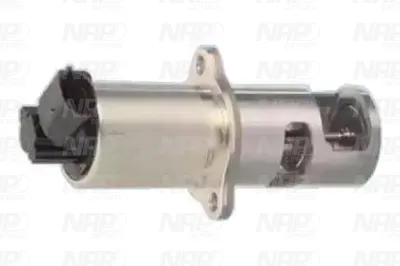 Válvula EGR NAP carPARTS CAV10019