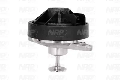 Válvula EGR NAP carPARTS CAV10021