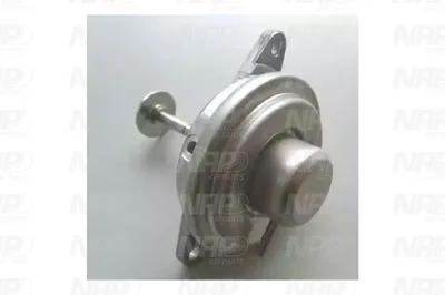 Válvula EGR NAP carPARTS CAV10022