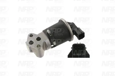 Válvula EGR NAP carPARTS CAV10024