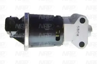 Válvula EGR NAP carPARTS CAV10025