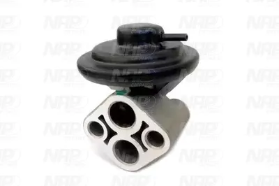 Válvula EGR NAP carPARTS CAV10028
