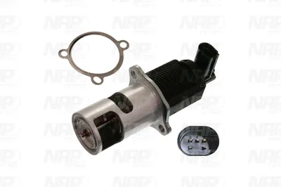 Válvula EGR NAP carPARTS CAV10032