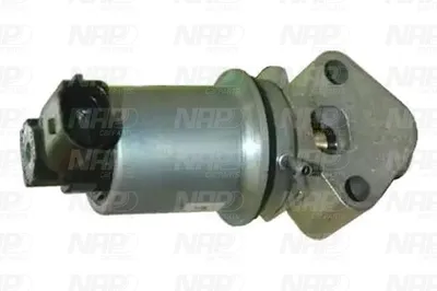 Válvula EGR NAP carPARTS CAV10034