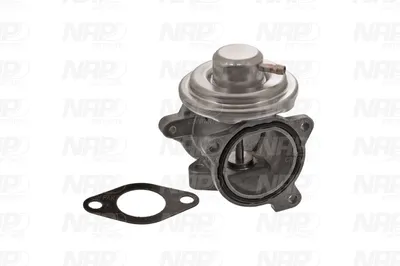 Válvula EGR NAP carPARTS CAV10038