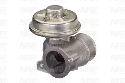 Válvula EGR NAP carPARTS CAV10043