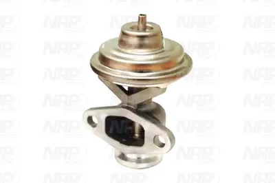 Válvula EGR NAP carPARTS CAV10058
