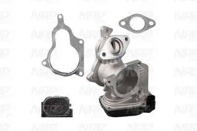Válvula EGR NAP carPARTS CAV10061