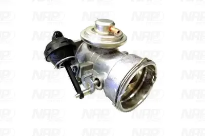 Válvula EGR NAP carPARTS CAV10062