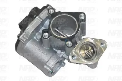 Válvula EGR NAP carPARTS CAV10063